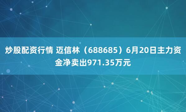 炒股配资行情 迈信林（688685）6月20日主力资金净卖出971.35万元