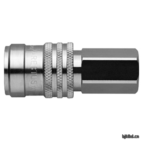 48901225 Quick Coupling