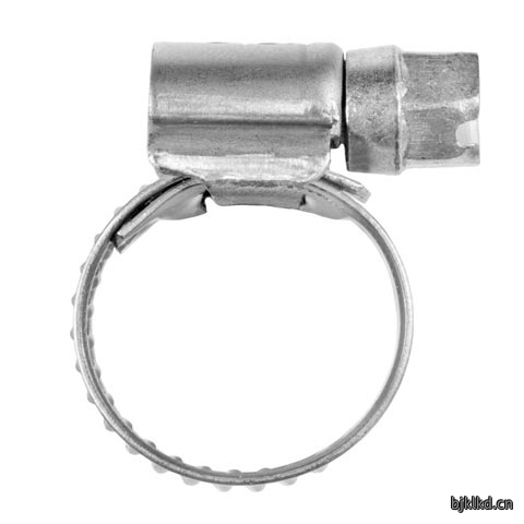 66160127 Worm Drive Hose Clamp