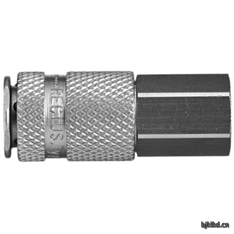 45090600 Quick Coupling