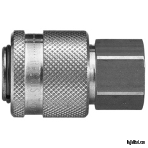 48167310 Quick Coupling