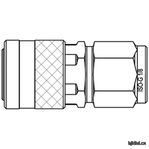 44800030 Quick Coupling
