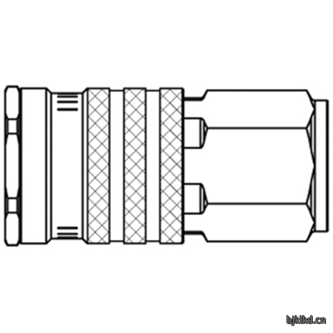 48902020 Quick Coupling