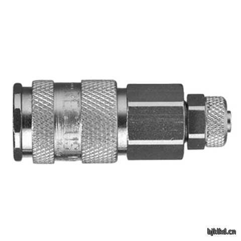 48080750 Quick Coupling