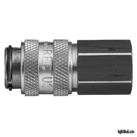 45593195 Quick Coupling