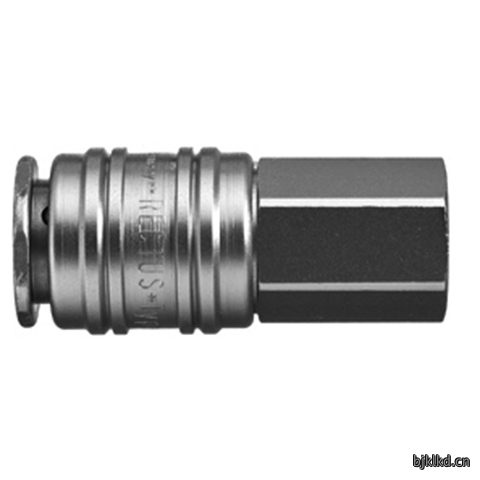 48060600 Quick Coupling