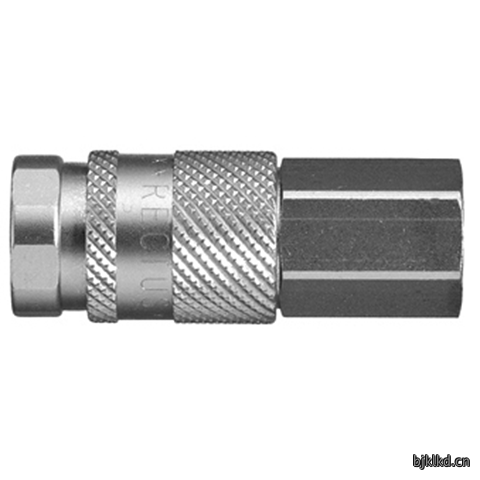 48401060 Quick Coupling