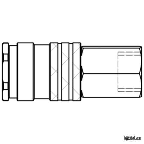 48900890 Quick Coupling