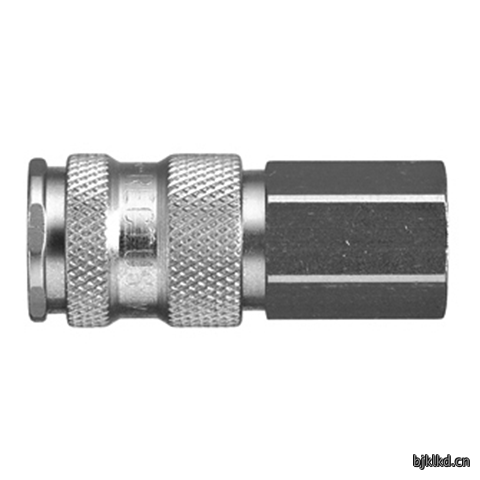 48080550 Quick Coupling