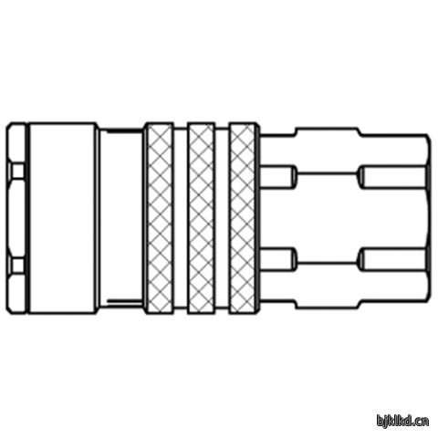 48900930 Quick Coupling