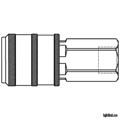 48147400 Quick Coupling