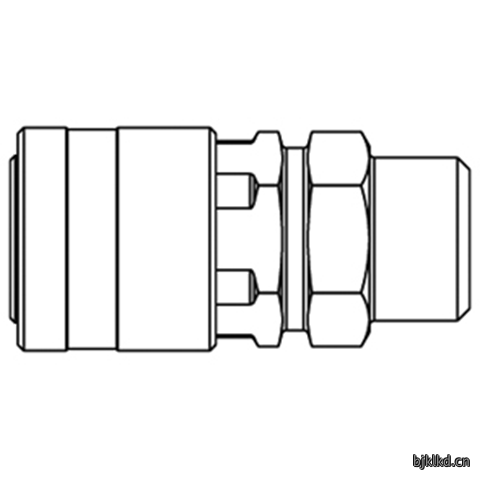 44800025 Quick Coupling